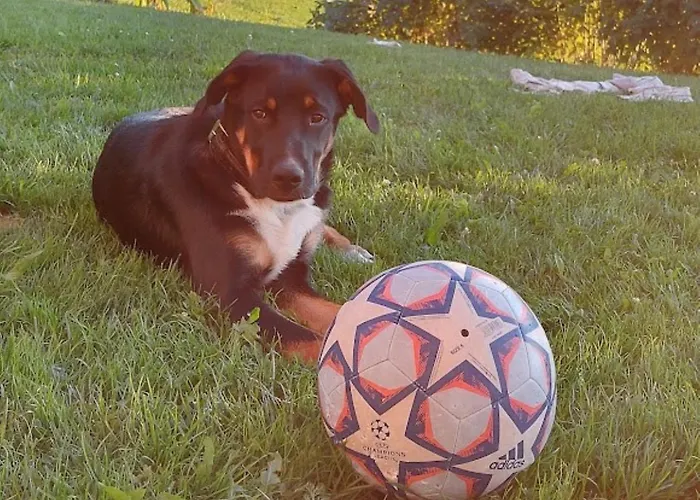 Albergo economico: Residence Stefansdorf